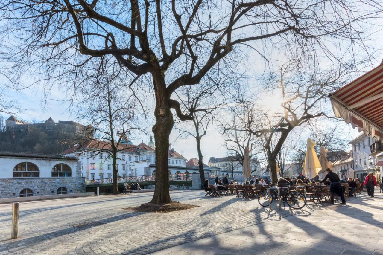 Old Town Apartments Ljubljana Buitenkant foto