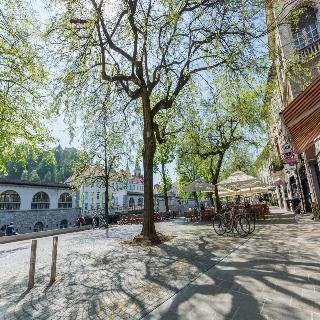 Old Town Apartments Ljubljana Buitenkant foto